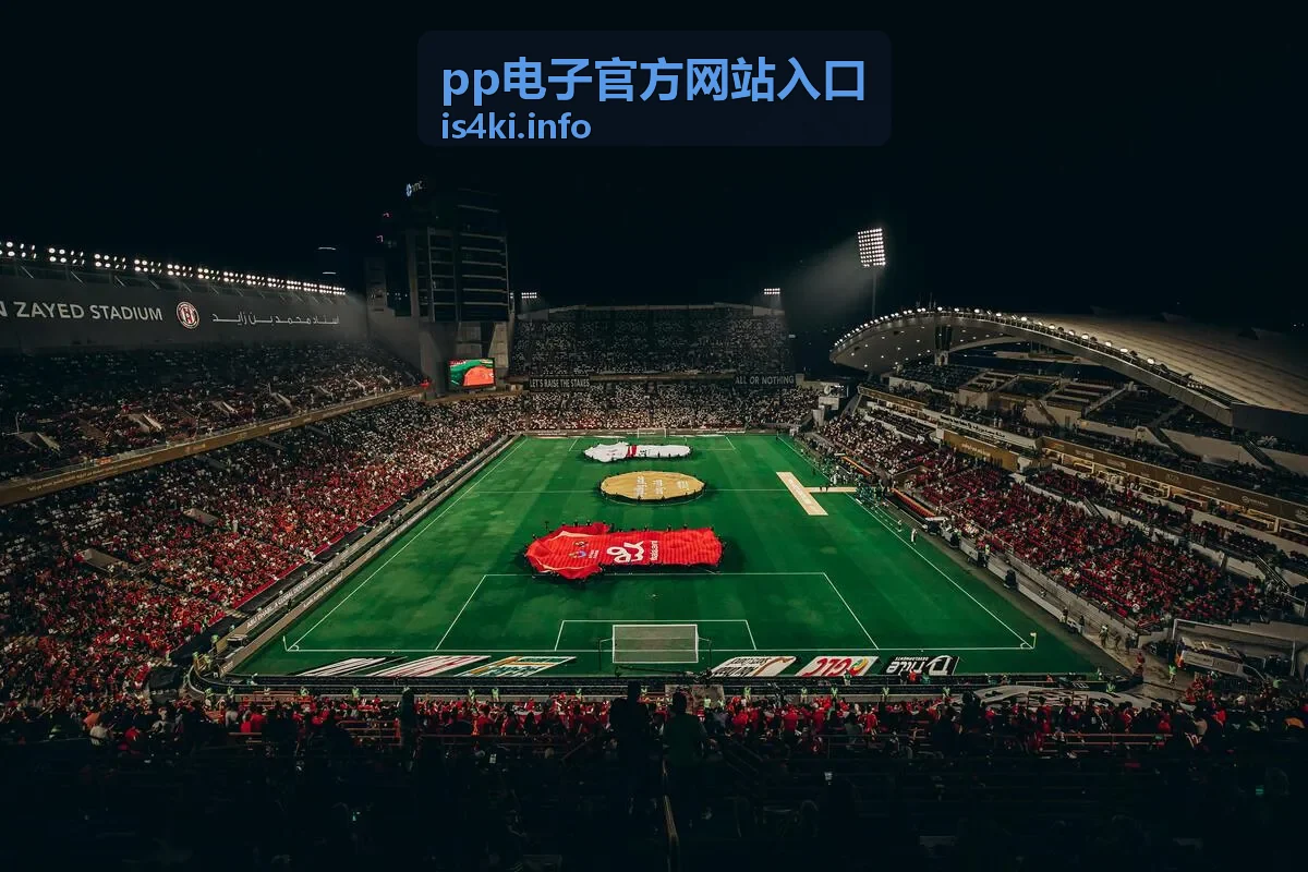 pp电子官方网站入口登录服务界面展示